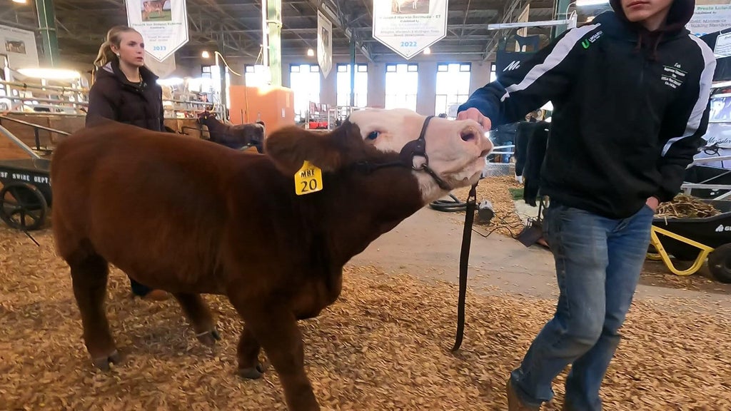 Spotlight on beef as Minnesota midterms near — WCCO / CBS Minnesota, Maple Grove Community news