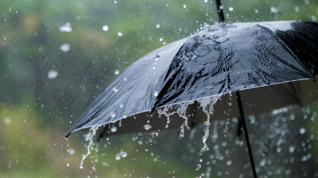 Widespread rain in Minnesota Monday; milder air returns Tuesday — WCCO / CBS Minnesota, Maple Grove Community news