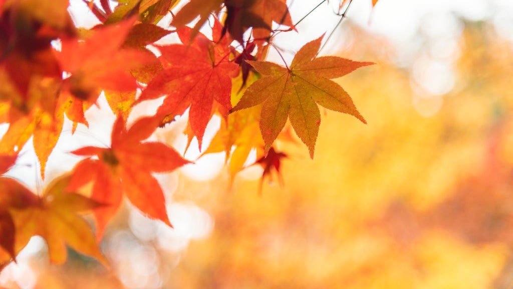 More sunny, mild late October weather in Minnesota Tuesday — WCCO / CBS Minnesota, Maple Grove Business news
