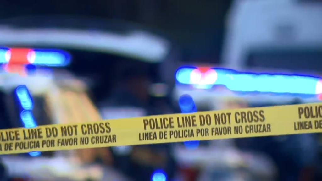 Man accused of stabbing, killing his own mother in Tamarac, BSO says — CBS Miami, Maple Grove Health news
