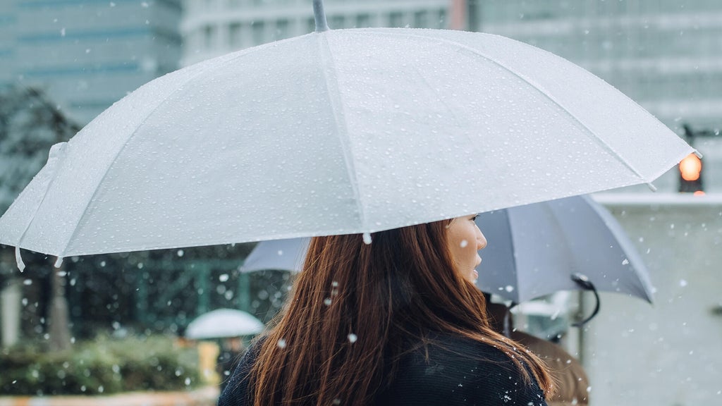 Soggy, chilly Thursday in the Twin Cities; season's first frost possible Saturday — WCCO / CBS Minnesota, Maple Grove Sports news