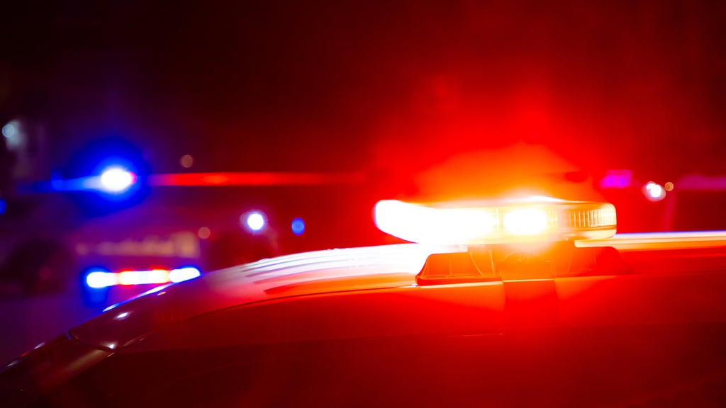 Driver killed in head-on collision with semi in central Minnesota — Maple Grove Community news