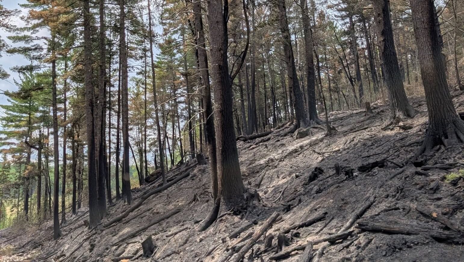 74-year-old who became separated from his family on a trail in Ely was discovered dead — KSTP 5, Maple Grove Community news