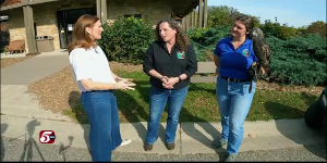 Treasure Island Resort and Casino’s Island Impact — KSTP 5