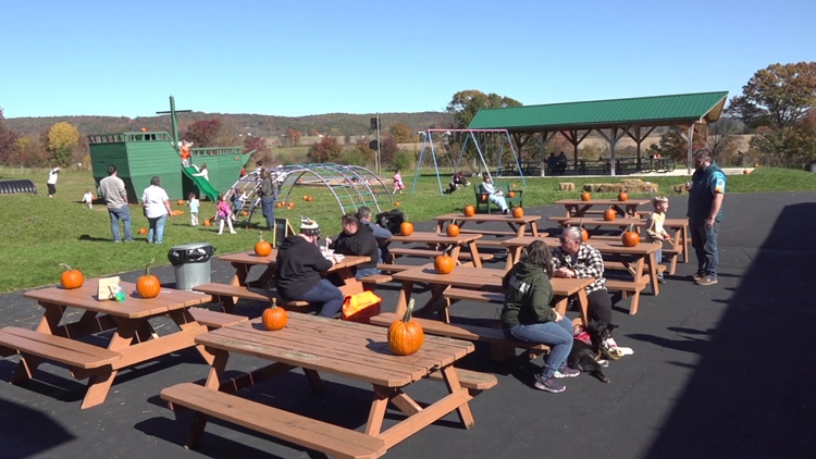 Outdoor festival in Columbia County brings together artists and businesses to connect with the community — WNEP 16 (Scranton/Wilkes-Barre), Maple Grove Arts news