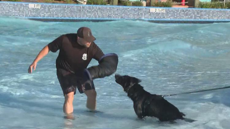 Tampa police K-9s train at theme park to prepare for emergencies — WTSP 10 Tampa Bay, Maple Grove Community news