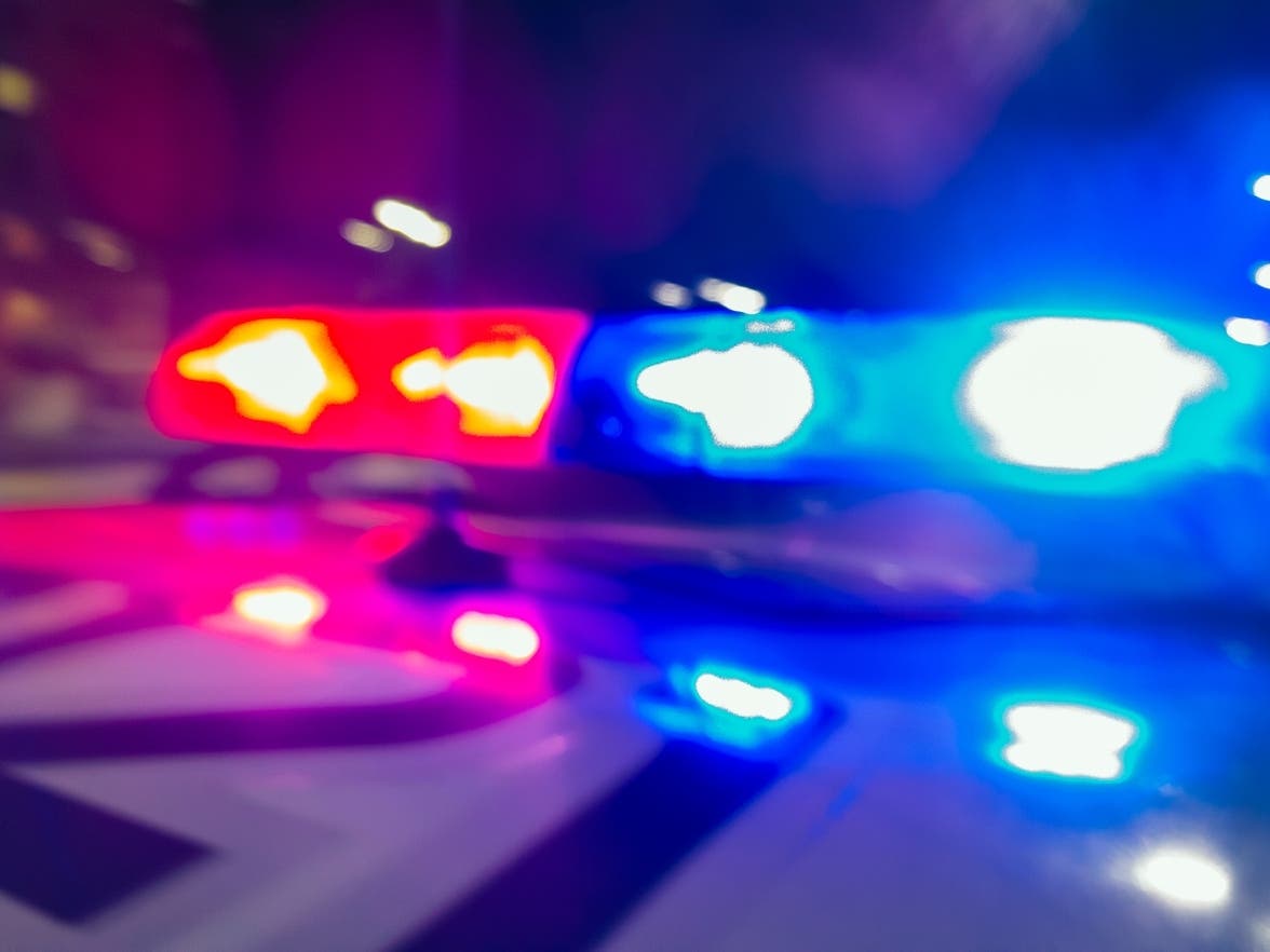 Bradenton Man Dies After SUV Crashes Into Tree In Sarasota County — Sarasota Patch, Maple Grove Health news