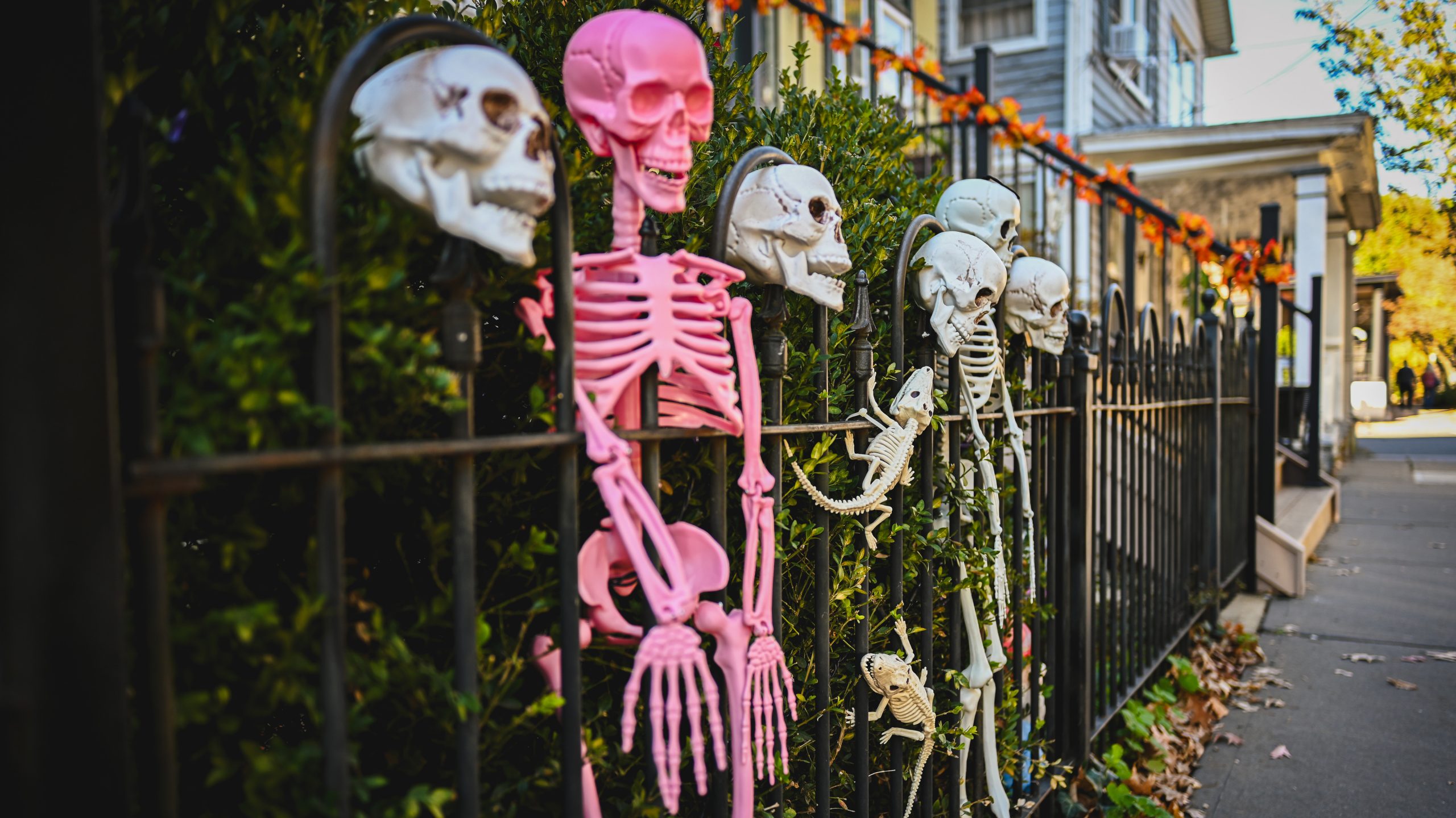 America's best cities for Halloween, ranked — FOX 9, Maple Grove Community news