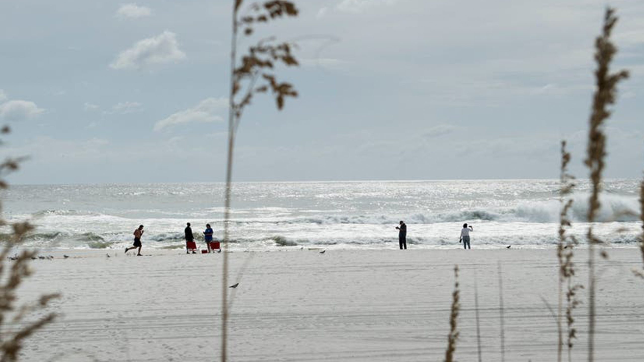 Father of 2 drowns after being caught in current trying to rescue seagull caught in fishing line — Maple Grove Community news