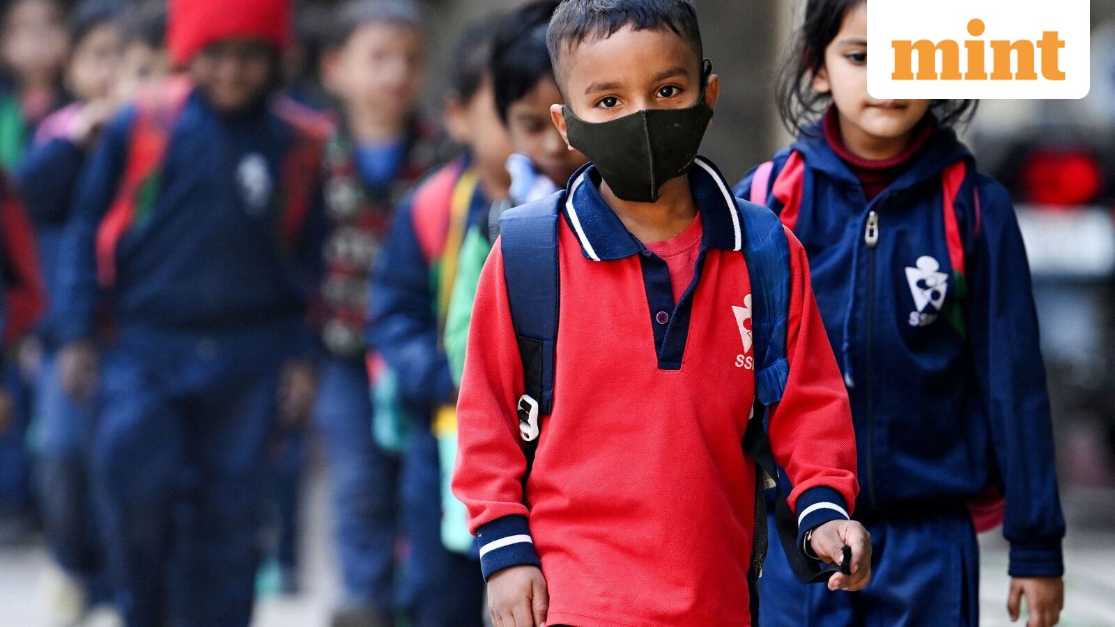 Chennai school holiday, Oct 21: Schools shut in four Tamil Nadu districts as heavy rains predicted | Check IMD alert — Mint India, Maple Grove Schools news